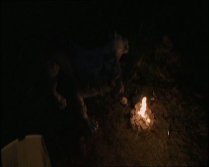 PDVD_1603.jpg