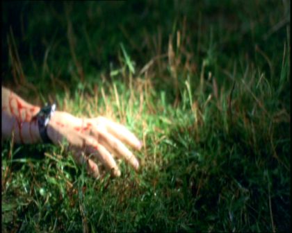 PDVD_1615.jpg