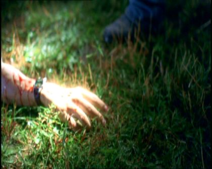 PDVD_1616.jpg