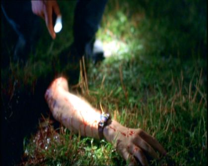 PDVD_1617.jpg