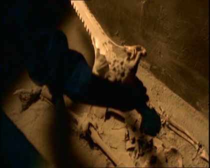 PDVD_179.jpg
