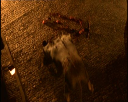 PDVD_2069.jpg