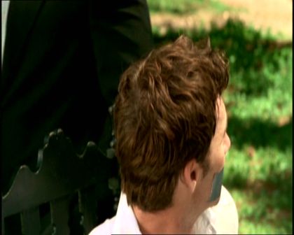 PDVD_299.jpg