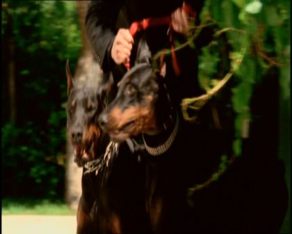 PDVD_308.jpg