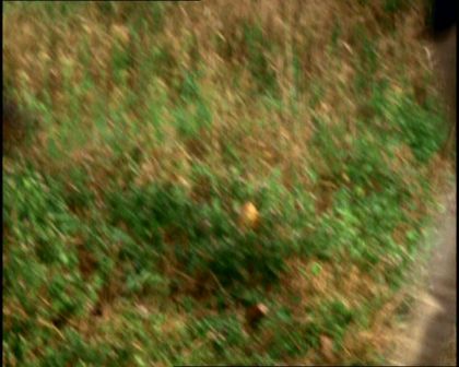PDVD_334.jpg