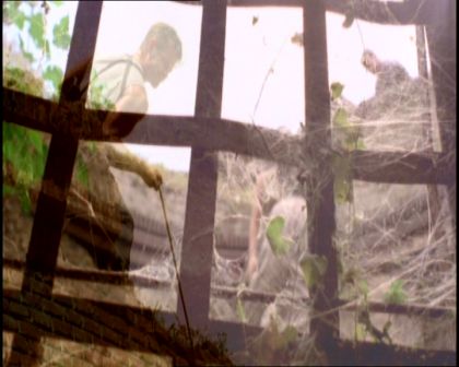PDVD_671.jpg