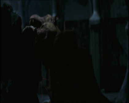 PDVD_978.jpg