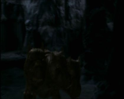 PDVD_986.jpg
