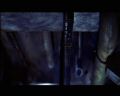 PDVD_447.jpg