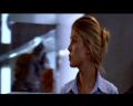 PDVD_488.jpg