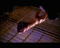 PDVD_559.jpg