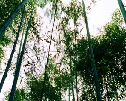 PDVD_1139.jpg