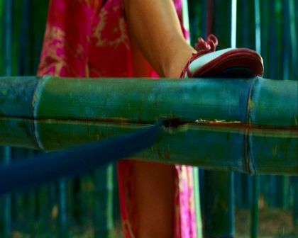 PDVD_1162.jpg