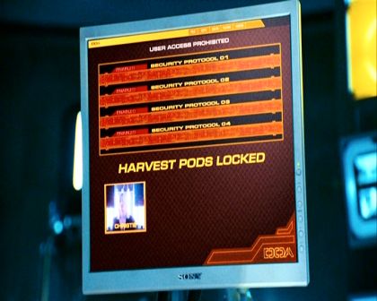 PDVD_1778.jpg