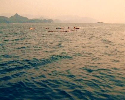 PDVD_2355.jpg