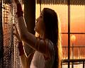 PDVD_385