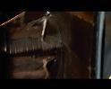 PDVD_1602