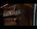 PDVD_1612