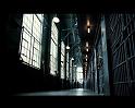 PDVD_1716
