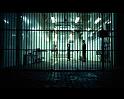 PDVD_215