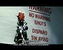 PDVD_274