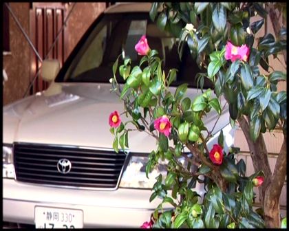 PDVD_3926.jpg