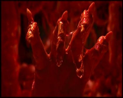 PDVD_4138.jpg