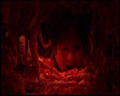 PDVD_4142.jpg