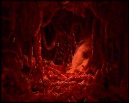 PDVD_4148.jpg