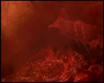 PDVD_4177.jpg