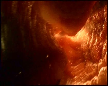PDVD_4191.jpg