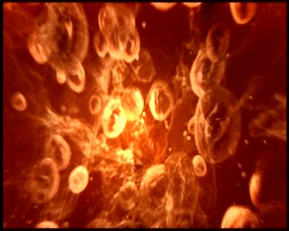 PDVD_4192.jpg