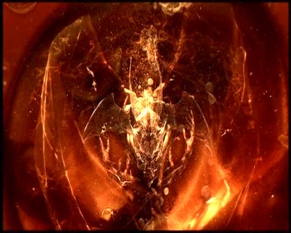 PDVD_4193.jpg
