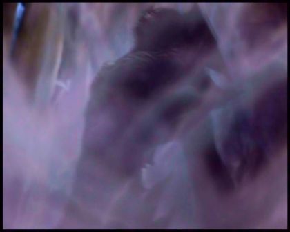 PDVD_4201.jpg