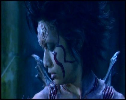 PDVD_4245.jpg
