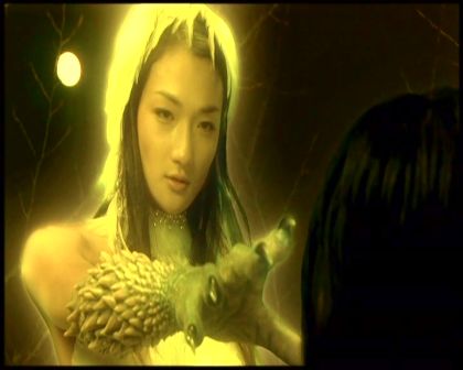 PDVD_4421.jpg