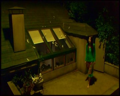 PDVD_4440.jpg