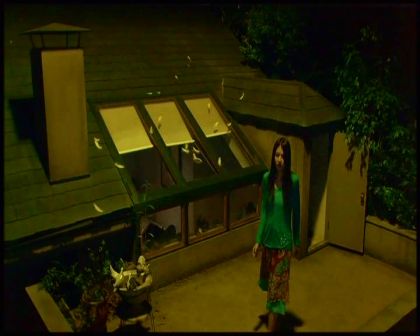 PDVD_4441.jpg