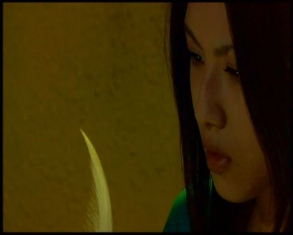 PDVD_4446.jpg