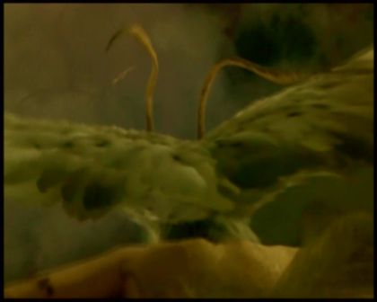 PDVD_4486.jpg