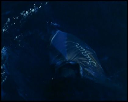 PDVD_4640.jpg