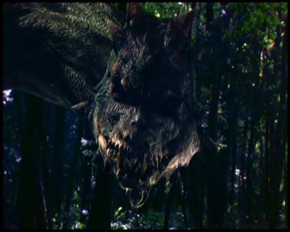 PDVD_4681.jpg