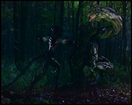PDVD_4702.jpg
