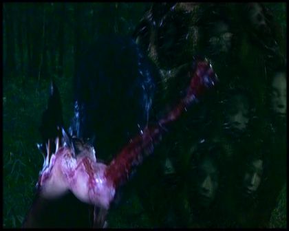 PDVD_4703.jpg