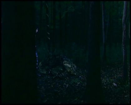 PDVD_4717.jpg