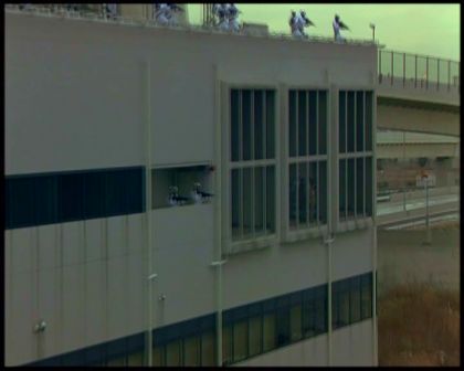 PDVD_5051.jpg