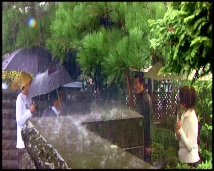 PDVD_5521.jpg
