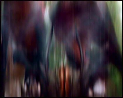 PDVD_5606.jpg