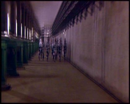 PDVD_5805.jpg