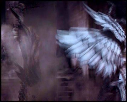 PDVD_5971.jpg